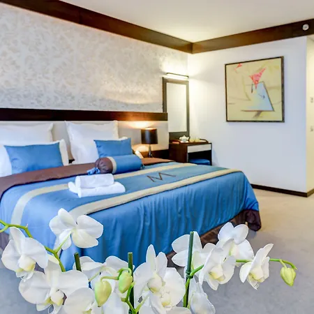 Hotel Malak Regency 5*